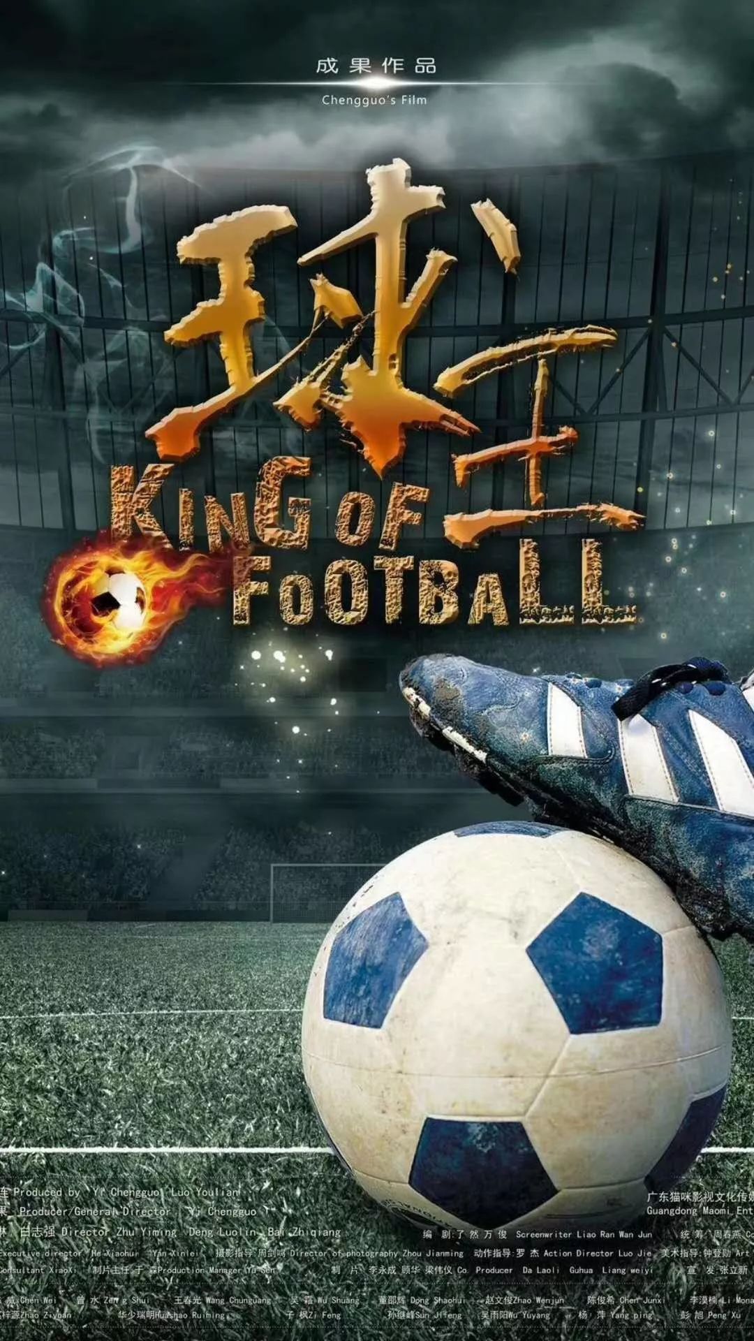 看世界杯感动,看世界杯心酸