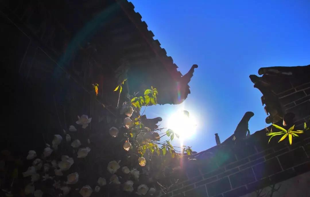 看了照片，我3秒钟就决定要去丽江！