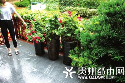 吃了火腿肠之后死亡的小孩,小狗吃了火腿肠然后第二天就吐了