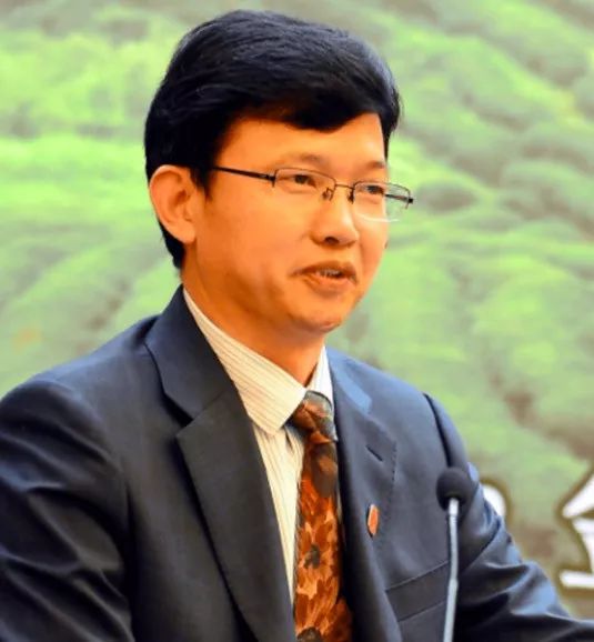 老卜奎说茶的十大恶习,老卜奎白茶