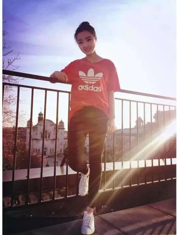 走进悉尼大学,走进威尔士