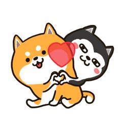 报考导游证都需要哪些条件,导游证考试过了什么时候拿到证