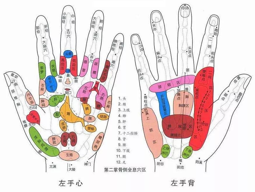 手上的健康秘密,手诊10种常见病从手上就能看出来