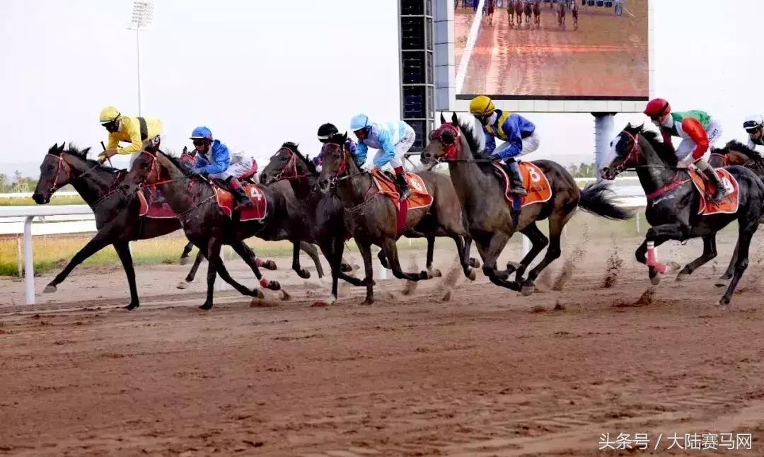 赛马现场直播电台,赛马直播间在线观看新疆