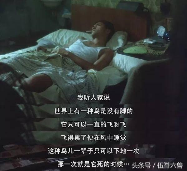 6月25日，再见无脚鸟，再爱一分钟，你是不是读懂了这个阿飞