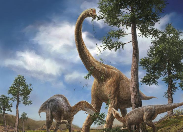 侏罗纪世界中还原最真实的恐龙,侏罗纪世界带你见识不一样的恐龙