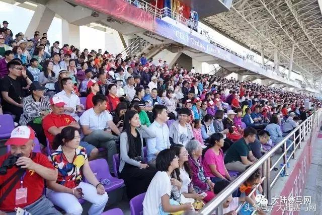 内蒙古伊泰大漠马业在哪里,内蒙古伊泰大漠马业