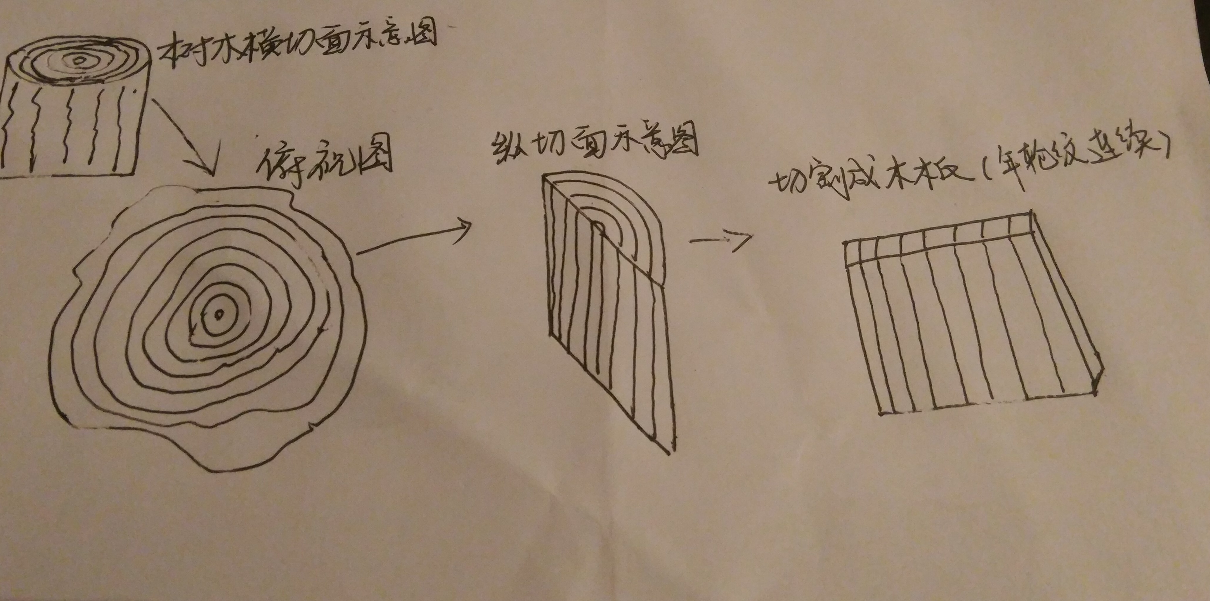 你还不会挑选吉他？（敲黑板）看这里！