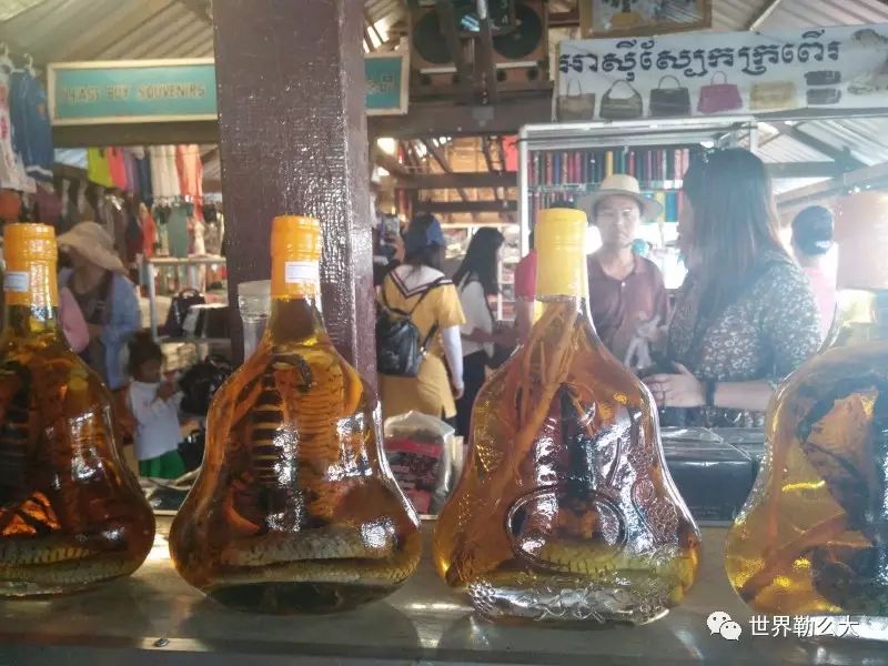 柬埔寨暹粒吴哥窟游记,柬埔寨旅行记2018