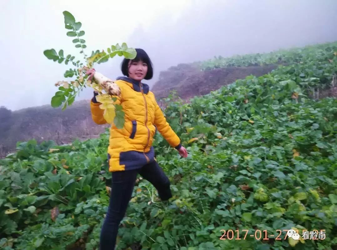 黔南州高考都匀一中217名,黔南都匀一中