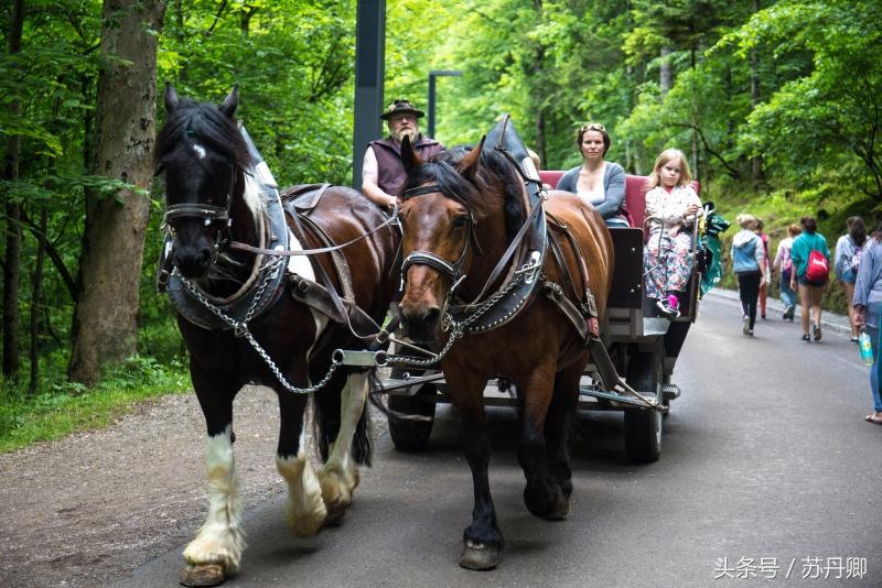门票都很贵的景点,国内的景点门票越来越贵
