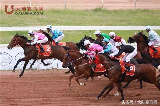 2018伊泰大漠马业系列纯血速度赛马赛事“鄂尔多斯金杯”圆满举办