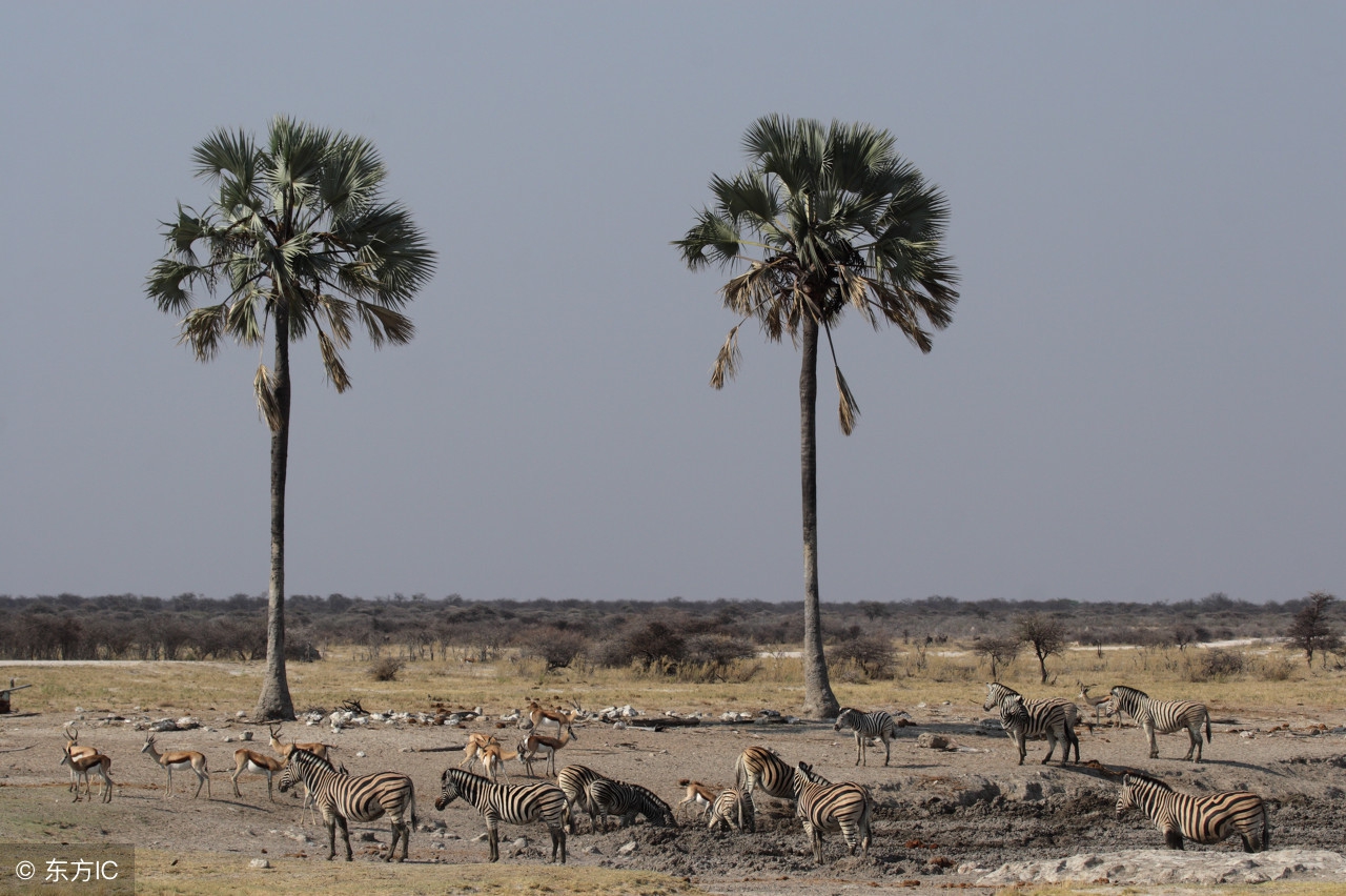 当生活中处处遇到套路,当生活处处跟你作对你该怎么办