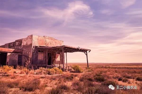 2022农民工回家创业有哪些项目,农民工回村创业投资30万