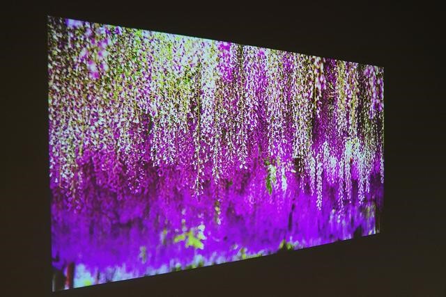 酷乐视r4屏幕,酷乐视r4s投影