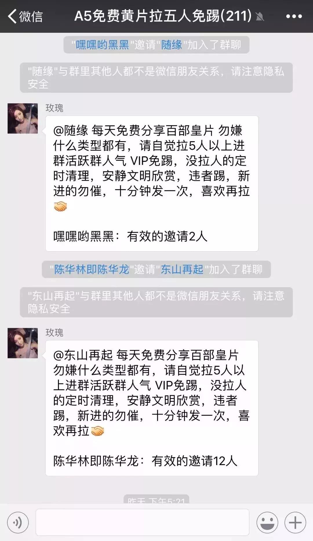 疯狂的网络赌博,疯狂的网赌