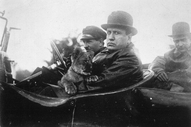 二战墨索里尼的贡献,二战风云人物墨索里尼