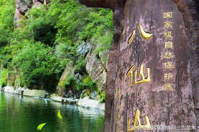 梨木台风景区顺缘农家院,天津蓟县梨木台顺鑫缘农家院