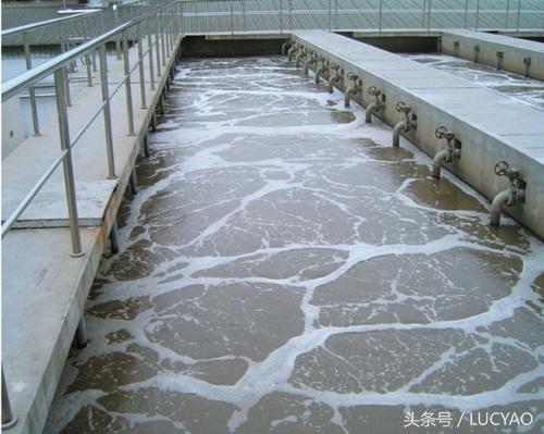 水处理曝气装置,曝气生物滤池和生物接触池区别