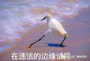 义诊名义推销医疗器械,义诊骗局