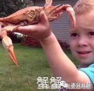 不努力就要继承家业的人,没有努力就得继承家产的明星