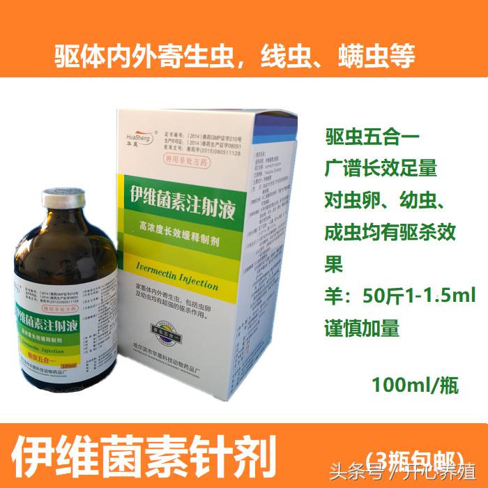 养殖羊常见的寄生虫,养羊技术羊寄生虫病的预防