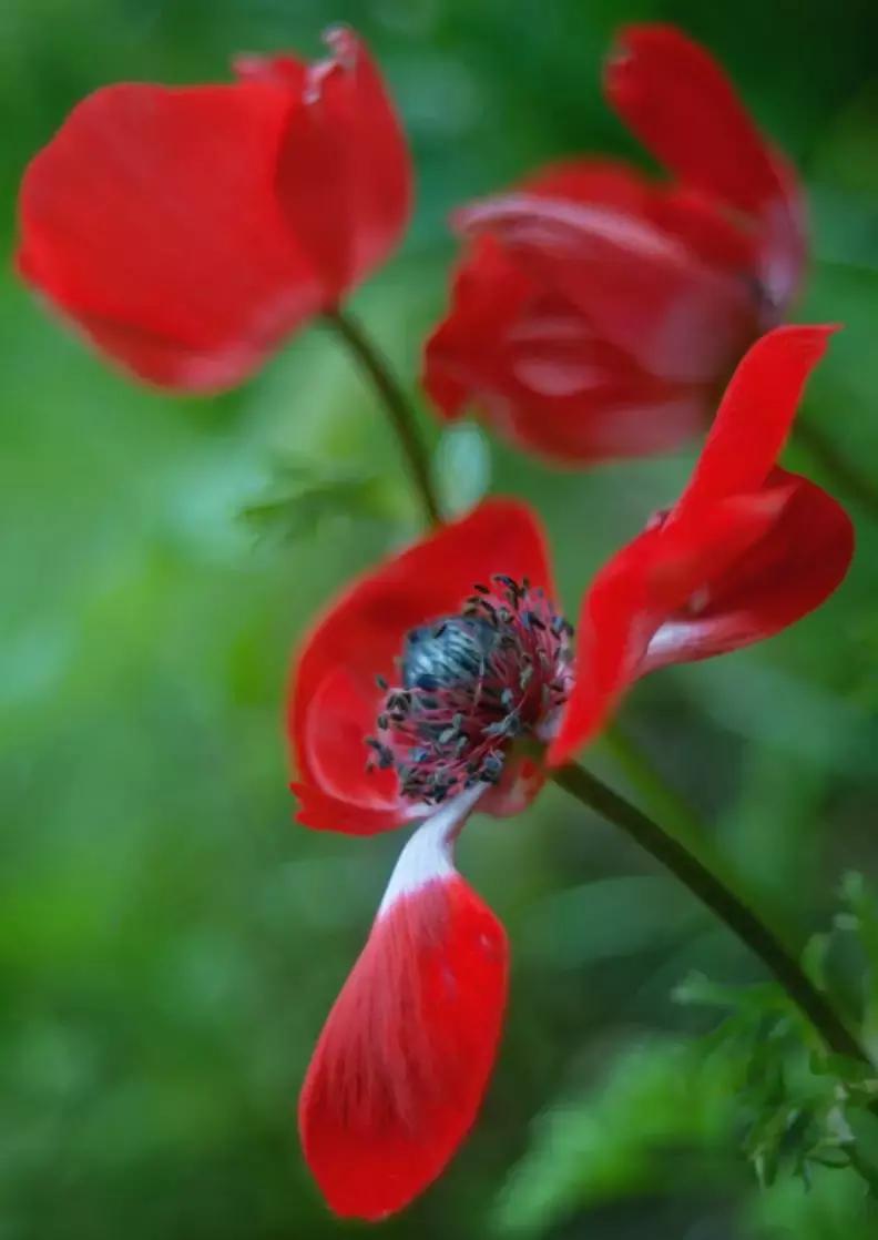 做个花心的女人视频,做个花心的女人歌曲