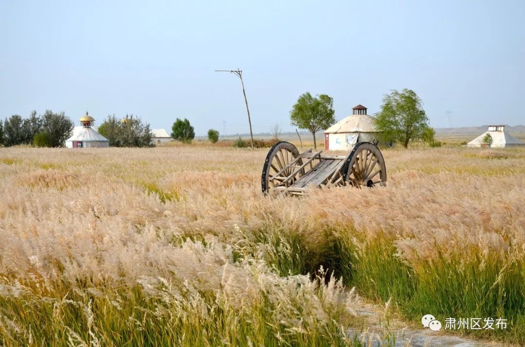 太迷人了！肃州区的这幅生态画卷越绘越美丽！