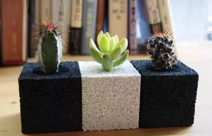 自己在家就能学会的花盆,不要花盆怎么养花