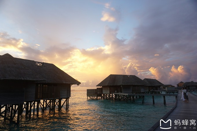 马尔代夫蝴蝶岛,马尔代夫港丽岛属于几星岛