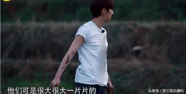 何炅穿2千元T恤插秧被喷?Baby干脆穿6500元爆款下泥田