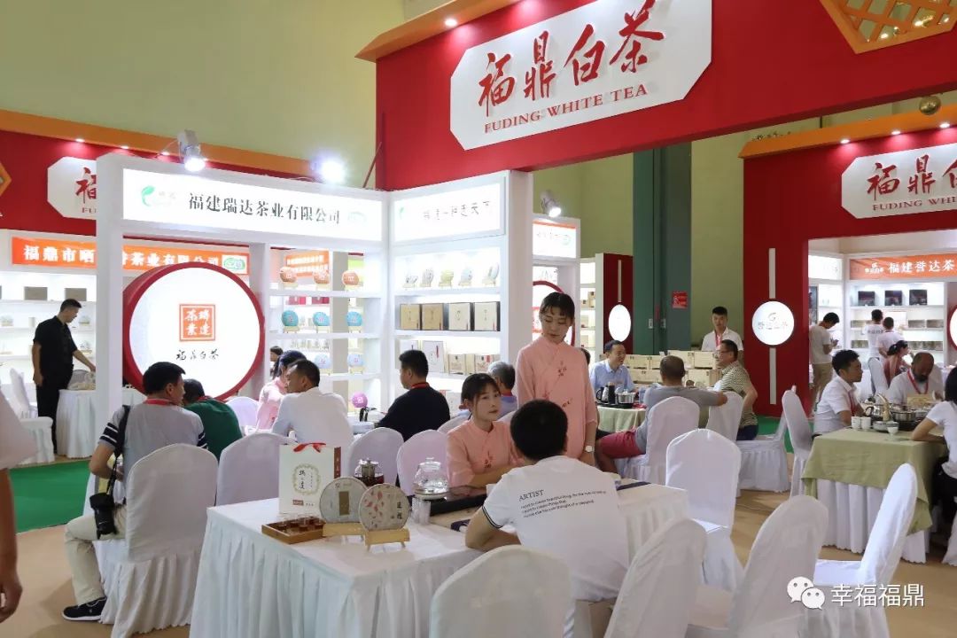 福鼎白茶进京“赶考”，好评如潮，香飘“一带一路”