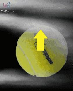 世界杯香蕉球精彩瞬间,世界杯足球香蕉球