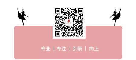 西安小天鹅艺术团之夜,西安小天鹅艺术团有哪些项目