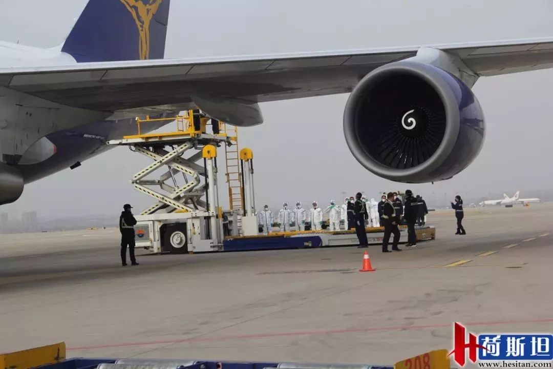 近1000只澳洲“羊妞”乘专机空降太原2018年已连续引进三批次