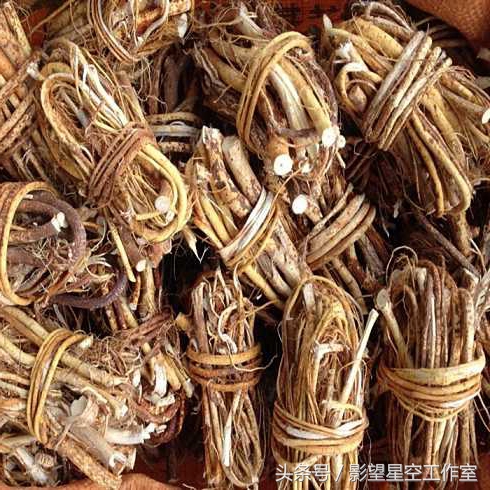 奶香味十足的牛奶,奶香味十足的牛奶有哪些