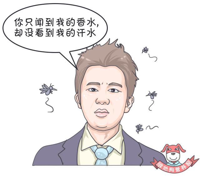 鍚歌铓婂瓙婕敾,鍏充簬铓婂瓙婕敾