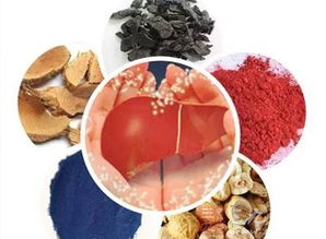 中医如何讲肝的重要性,中医对肝脏损伤的最新治疗