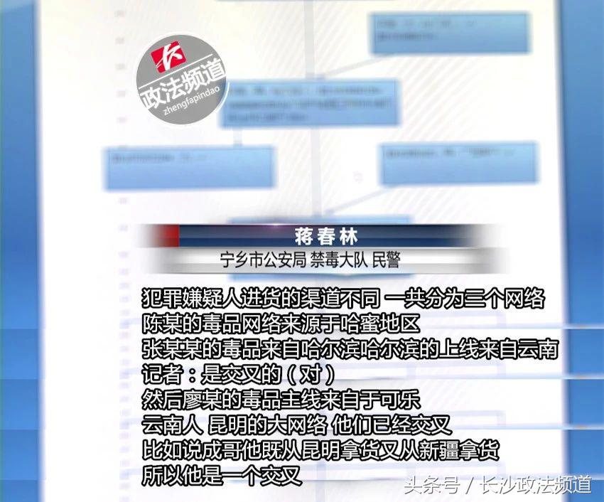 警方查处非法种植毒品,长沙市公安局破获特大大麻种植案