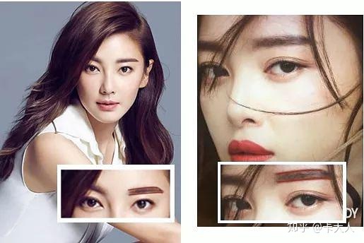 如何评价张雨绮美人鱼,张雨绮评价大s的长相