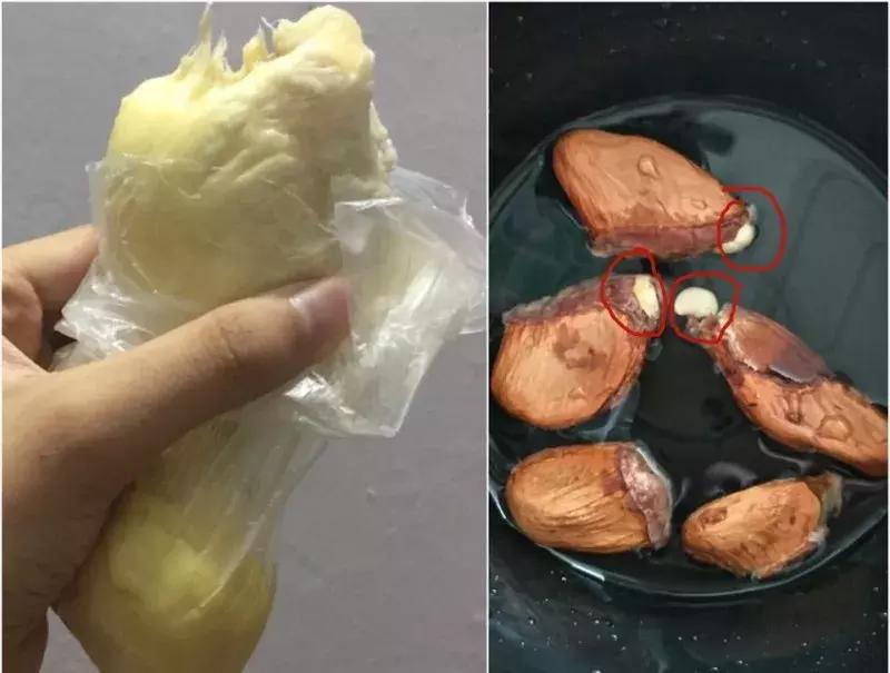 水果核丢花盆发芽了,水果籽呛到肺里去发芽了