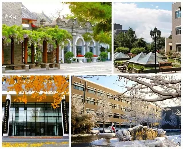 北京二中学校,北京二中的特点