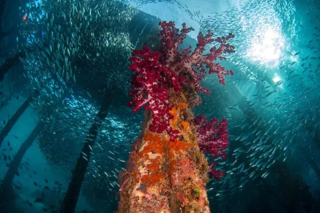 秋季旅行大片,旅行摄影大片有哪些
