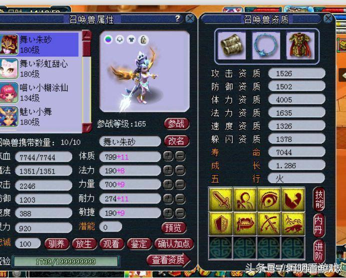 梦幻西游全服稀有神宠,梦幻西游平民神宠排行榜