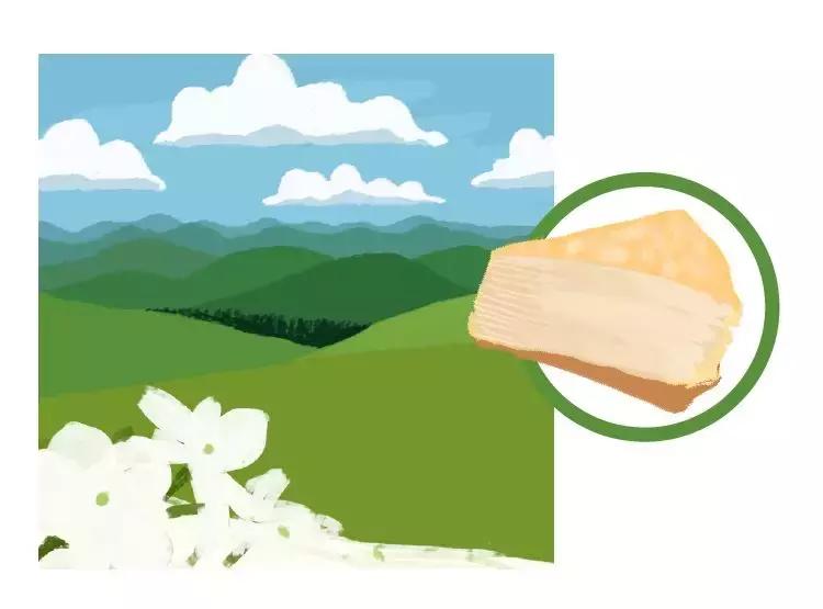 布歌东京新款,布歌东京布蕾复刻