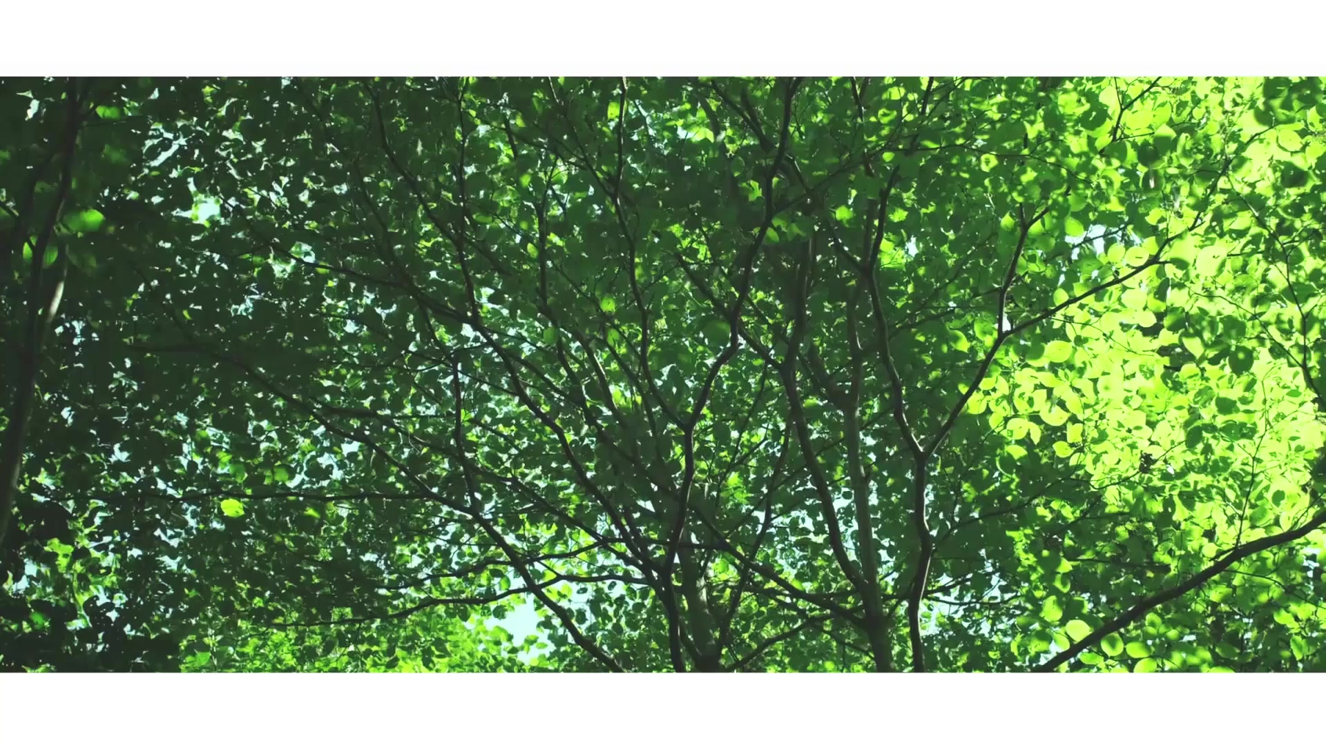 观《小森林》，怎样才能更好的生活