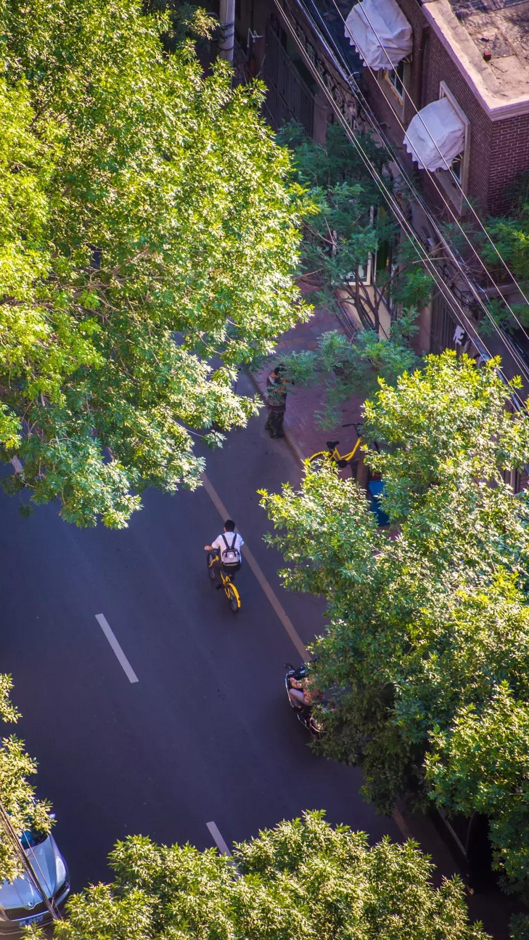 天津人的特点和天津文化的关系,对天津人是有怎样的感悟