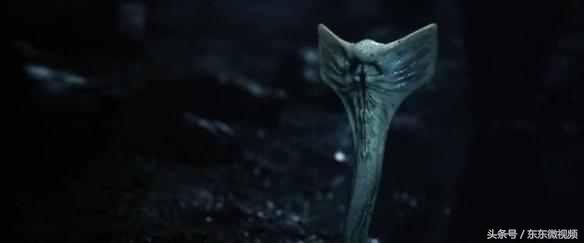 异形大战铁血战士进化史,异形起源异形进化史