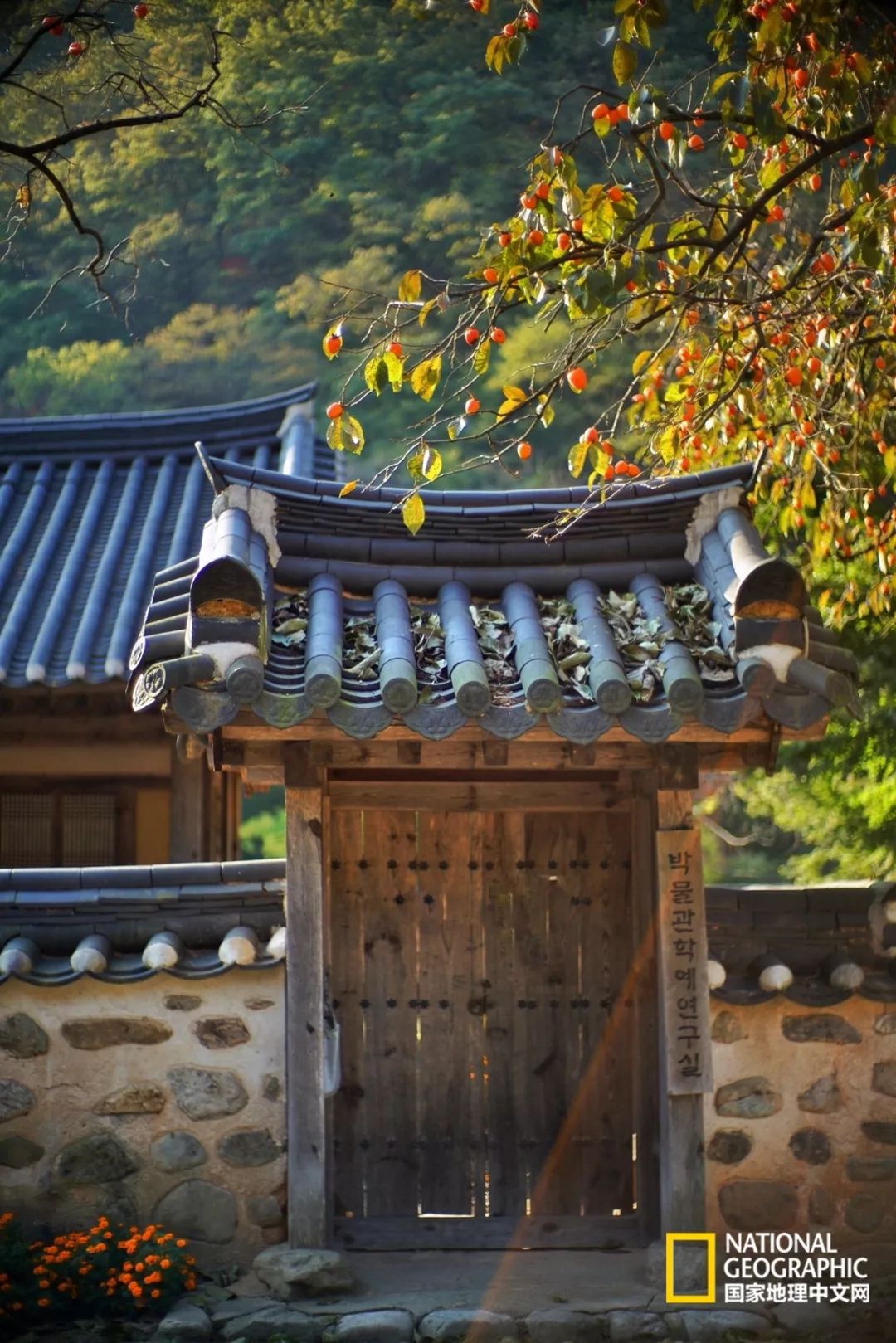 韩国足球的犯规艺术,韩国踢足球犯规现场