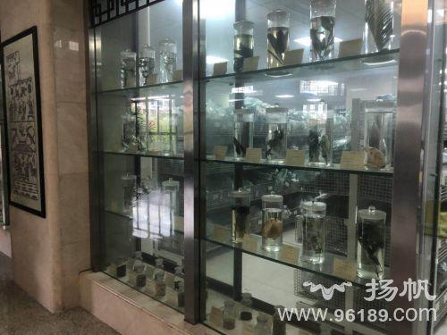 中学生走进中医馆,中医文化走进中学课堂